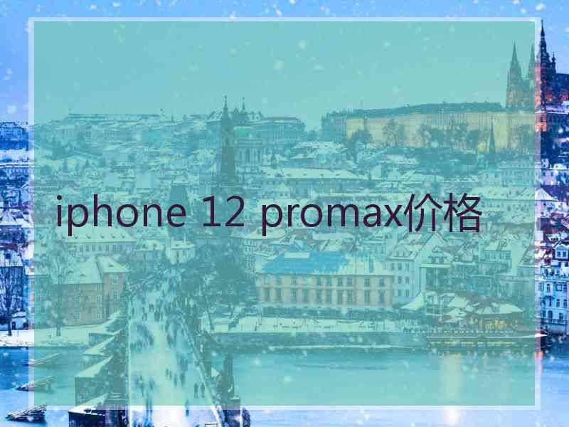 iphone 12 promax价格