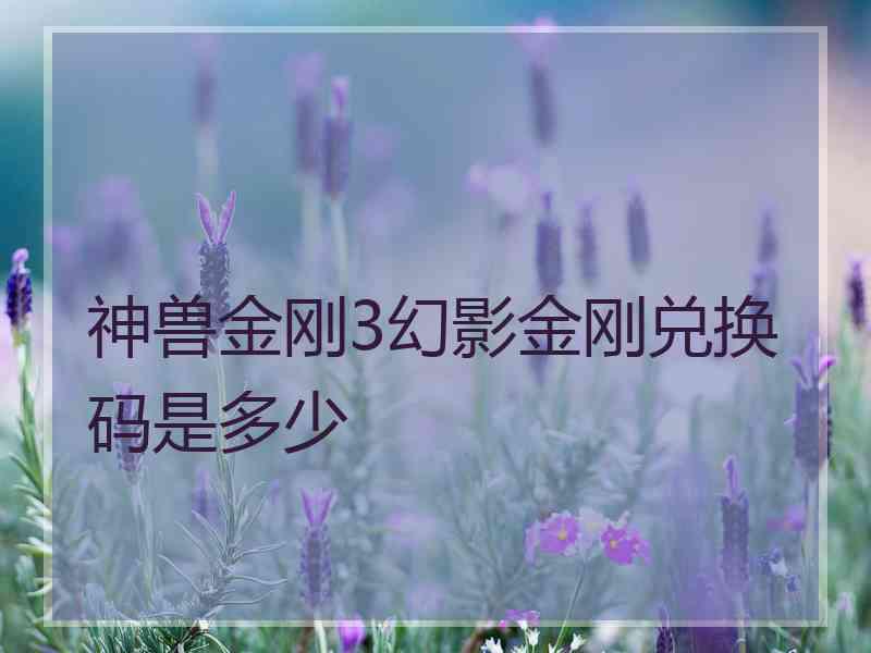 神兽金刚3幻影金刚兑换码是多少