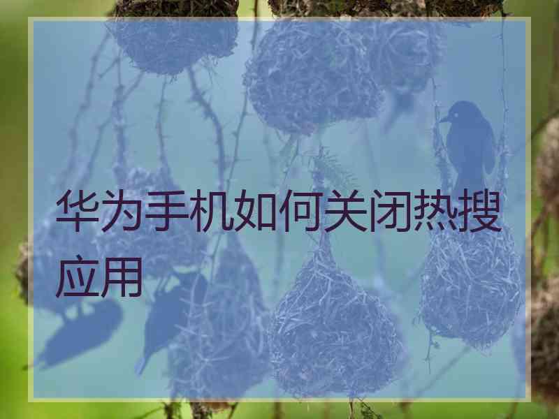 华为手机如何关闭热搜应用