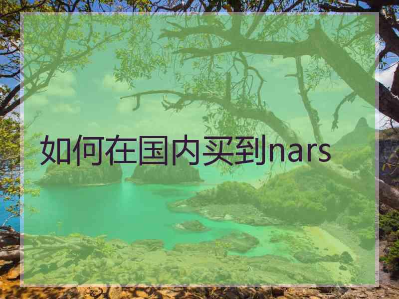 如何在国内买到nars