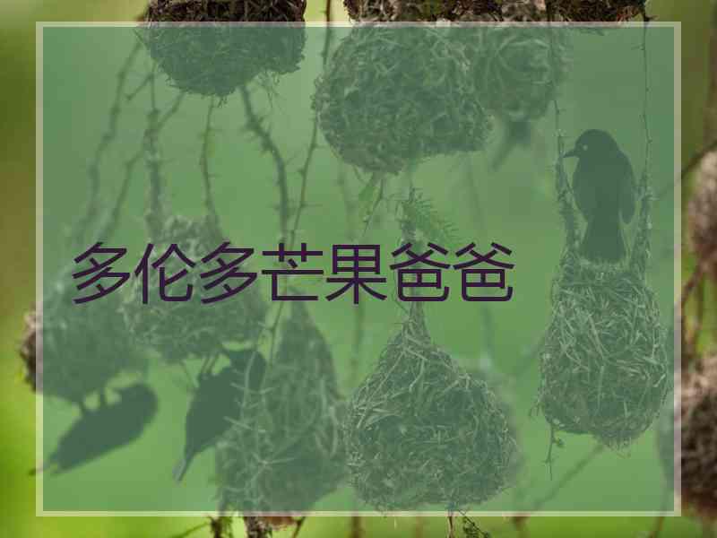 多伦多芒果爸爸