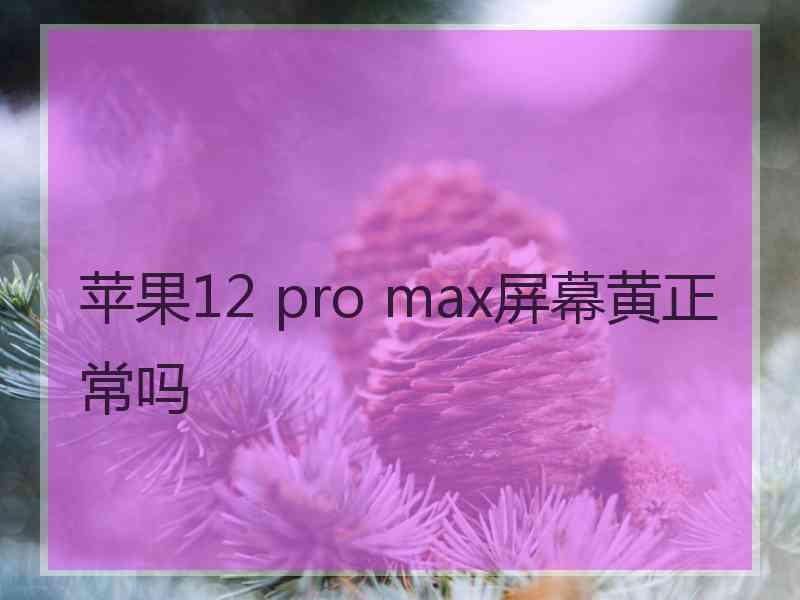 苹果12 pro max屏幕黄正常吗