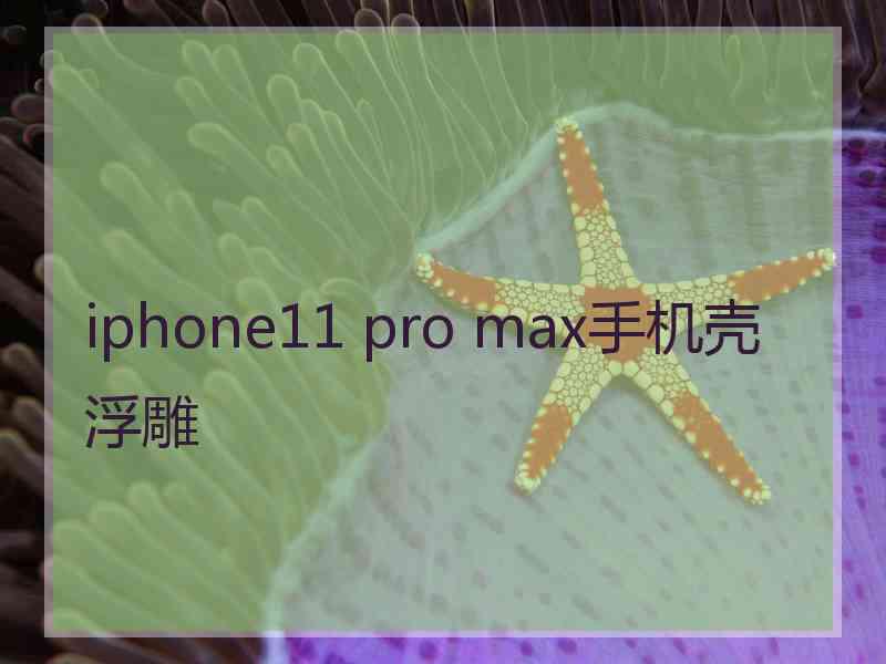 iphone11 pro max手机壳浮雕