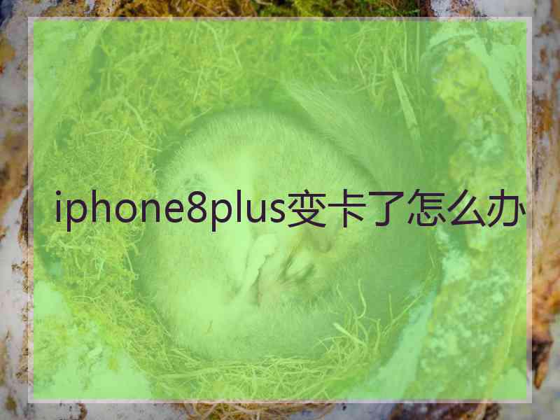 iphone8plus变卡了怎么办