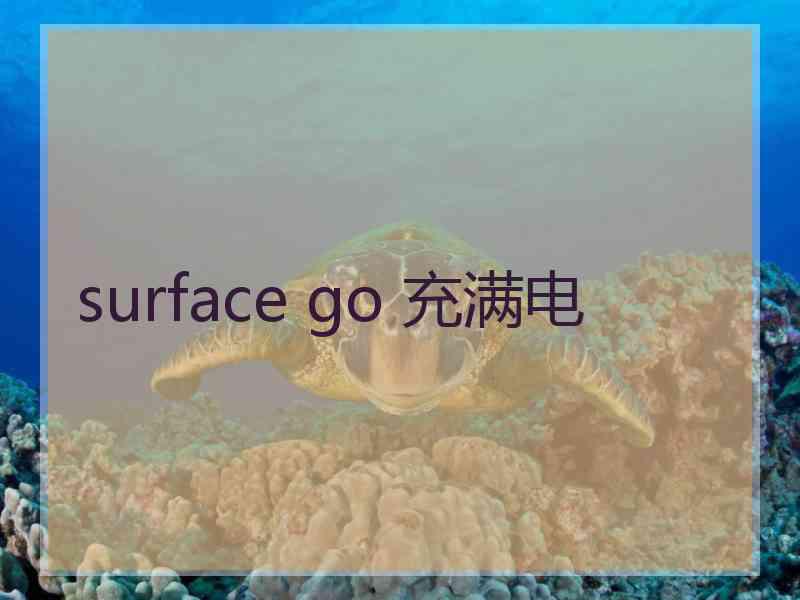 surface go 充满电