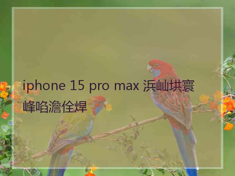 iphone 15 pro max 浜屾垬寰峰啗澹佺焊