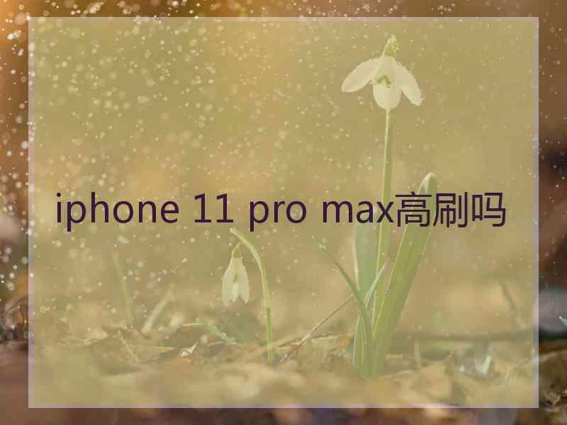 iphone 11 pro max高刷吗