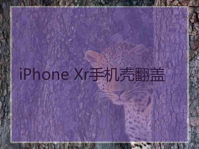 iPhone Xr手机壳翻盖