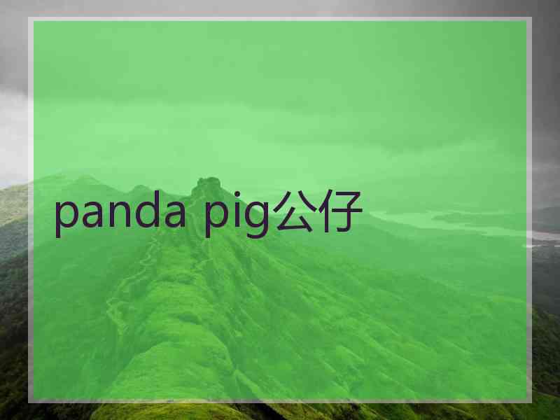 panda pig公仔