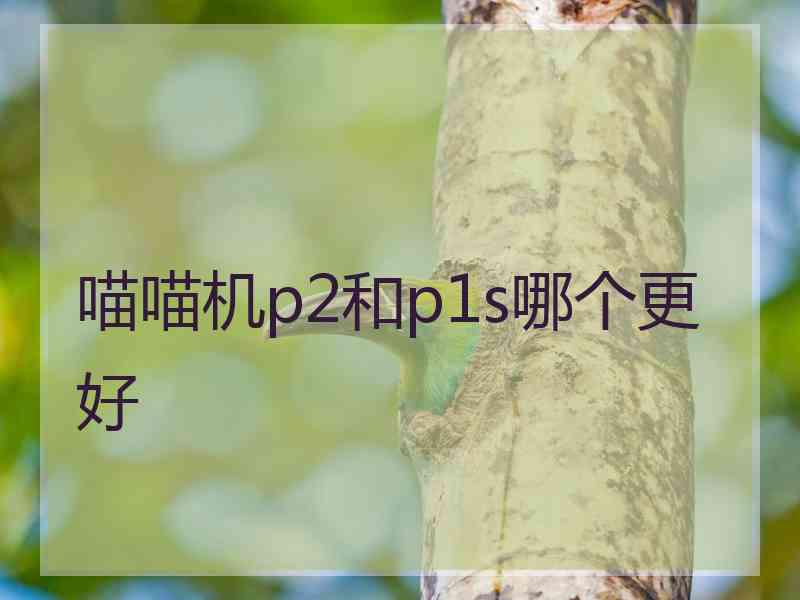 喵喵机p2和p1s哪个更好