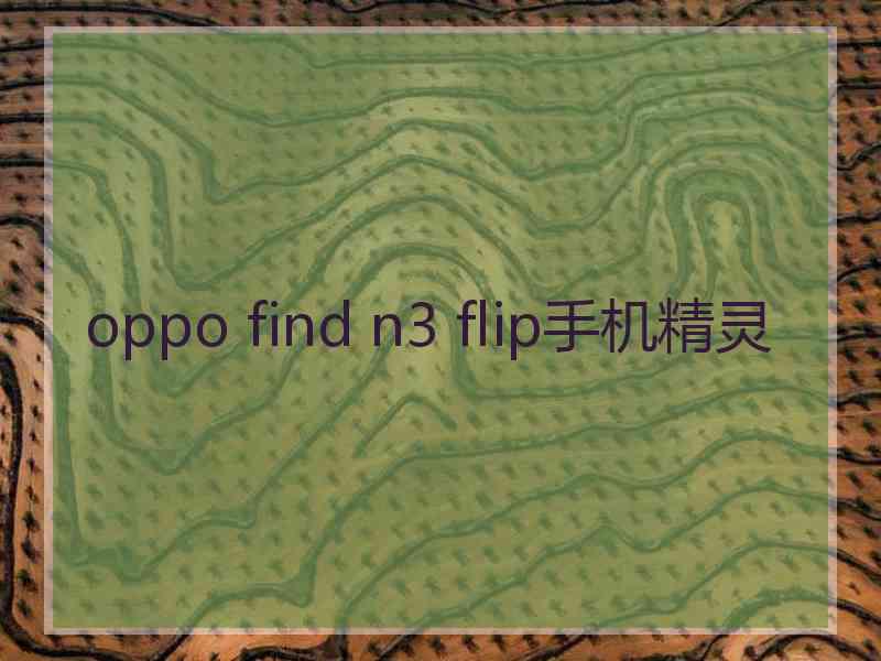 oppo find n3 flip手机精灵