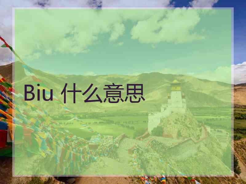 Biu 什么意思