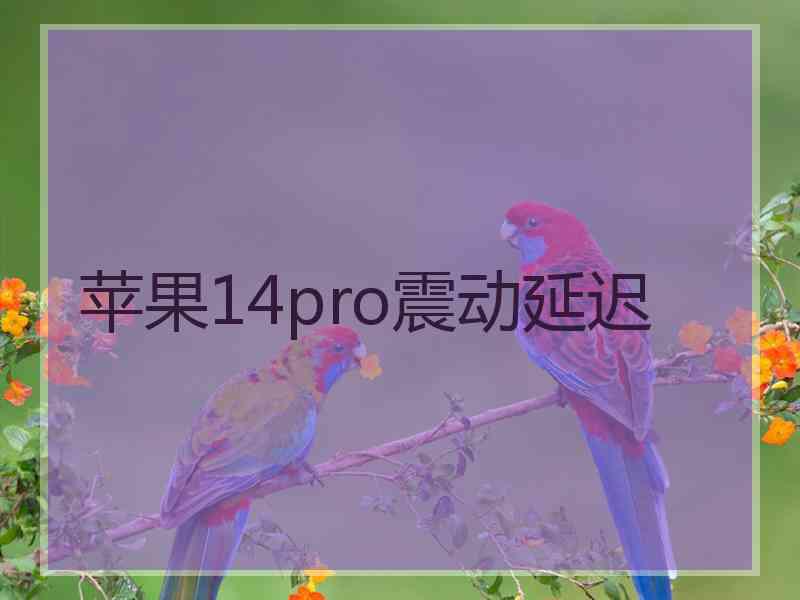 苹果14pro震动延迟