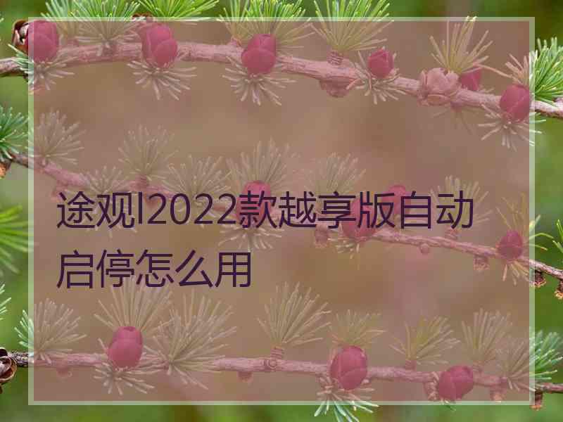 途观l2022款越享版自动启停怎么用