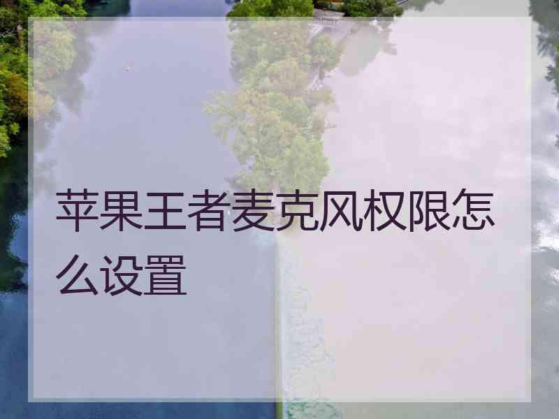 苹果王者麦克风权限怎么设置