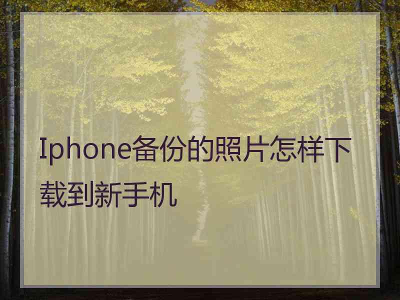 Iphone备份的照片怎样下载到新手机