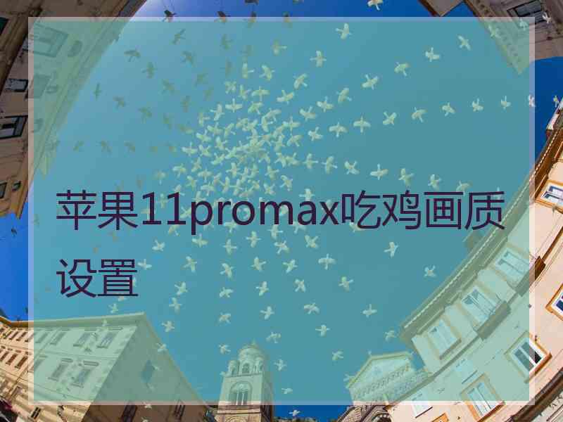 苹果11promax吃鸡画质设置