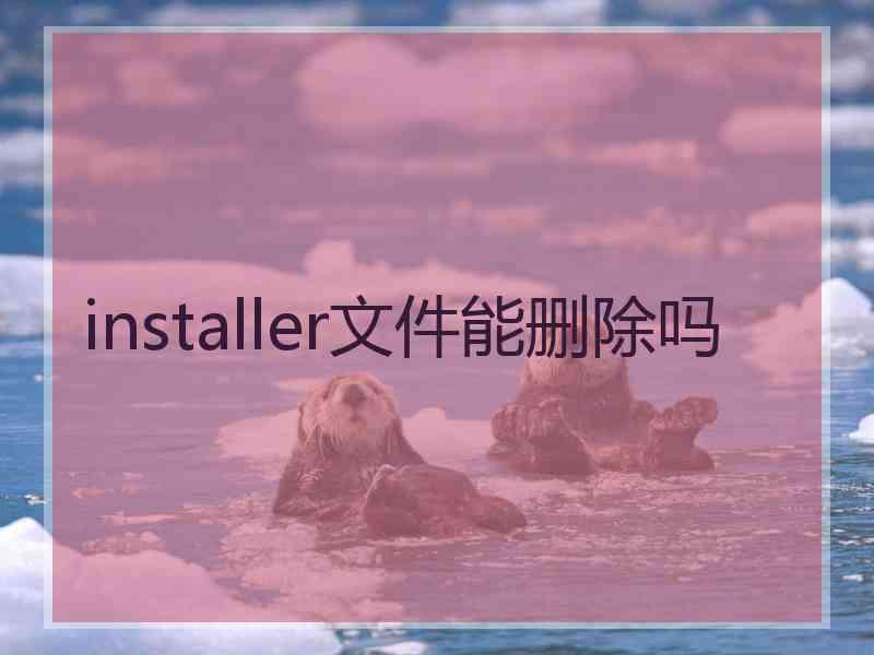 installer文件能删除吗