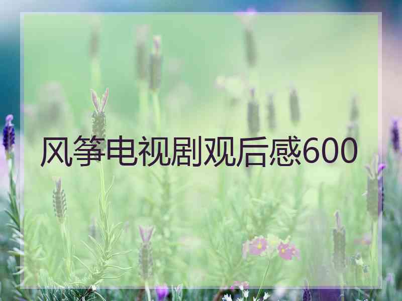 风筝电视剧观后感600