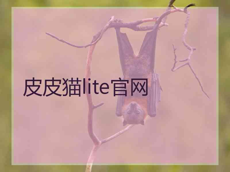 皮皮猫lite官网