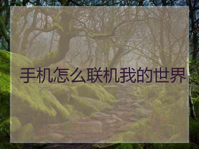 手机怎么联机我的世界