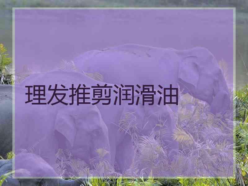 理发推剪润滑油