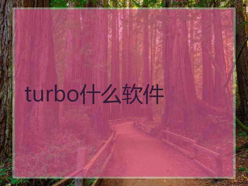 turbo什么软件