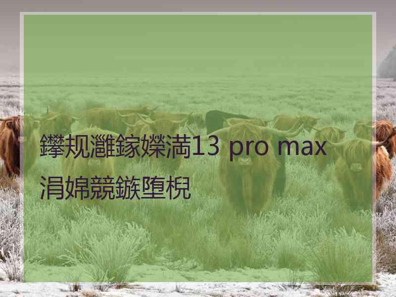 鑻规灉鎵嬫満13 pro max涓婂競鏃堕棿