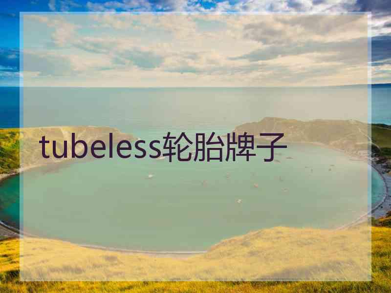 tubeless轮胎牌子