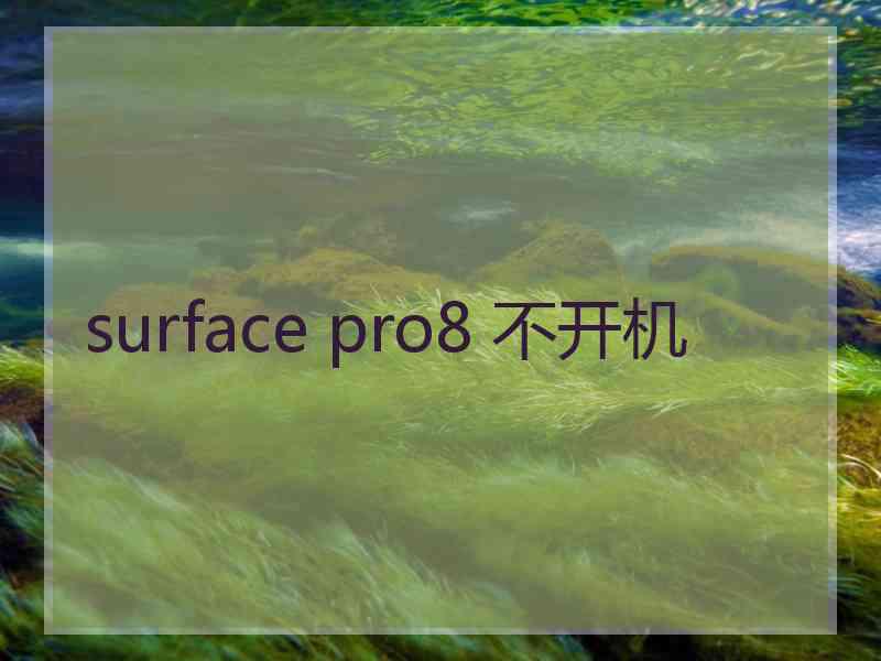 surface pro8 不开机