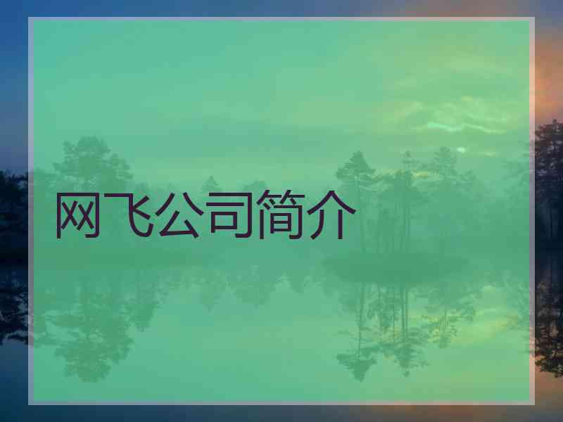 网飞公司简介