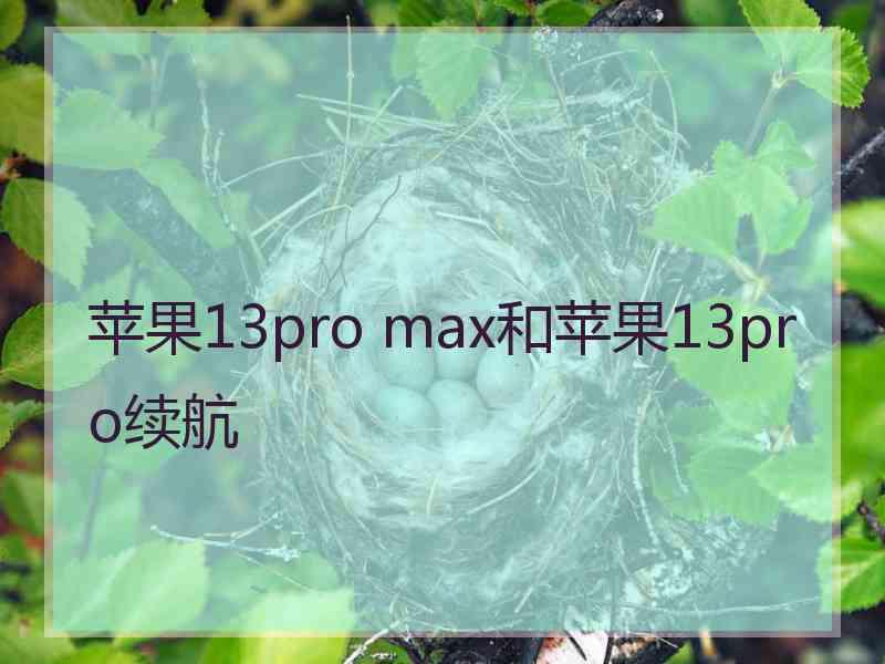 苹果13pro max和苹果13pro续航