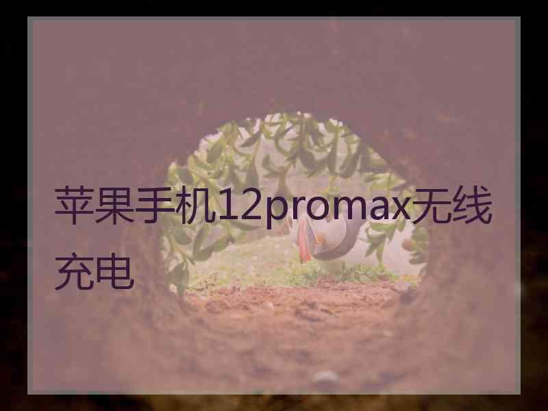 苹果手机12promax无线充电