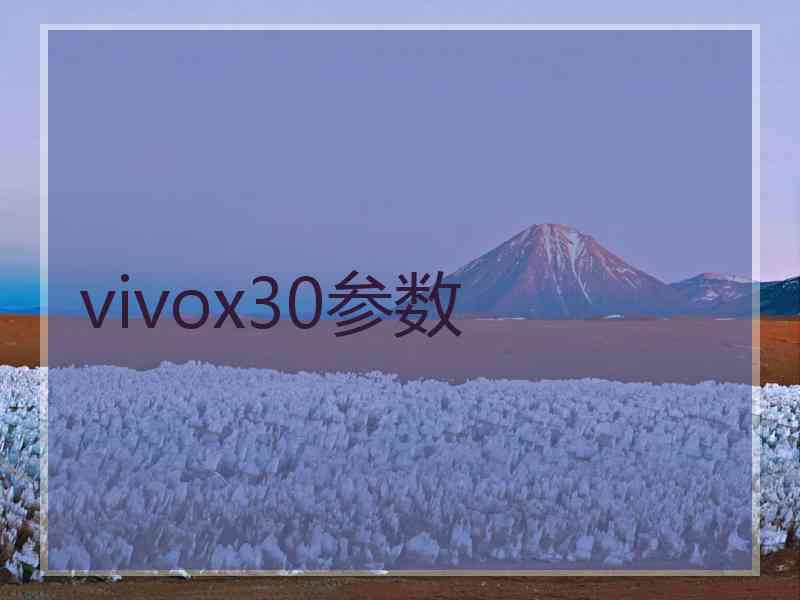 vivox30参数