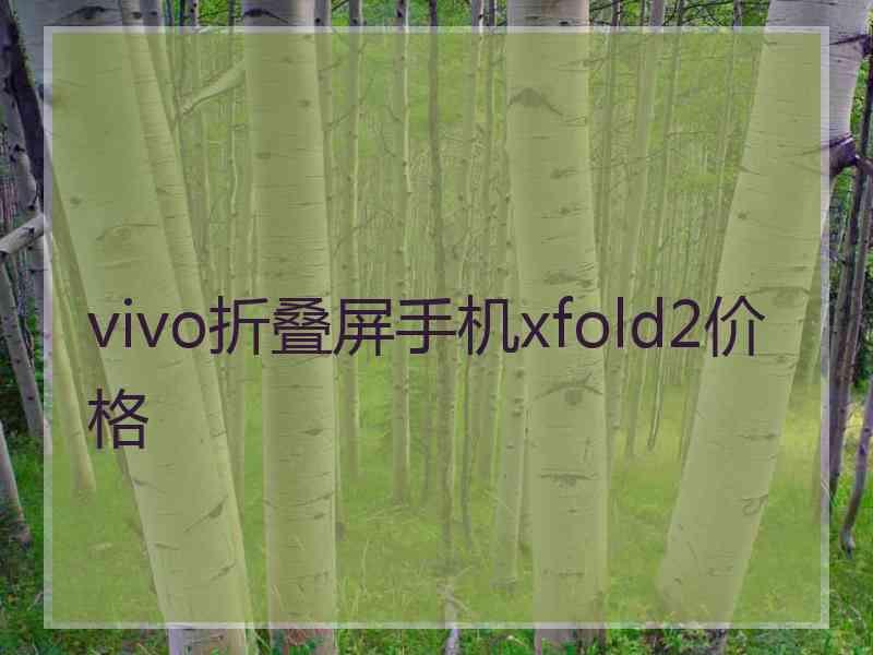 vivo折叠屏手机xfold2价格