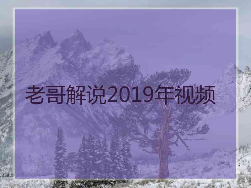 老哥解说2019年视频