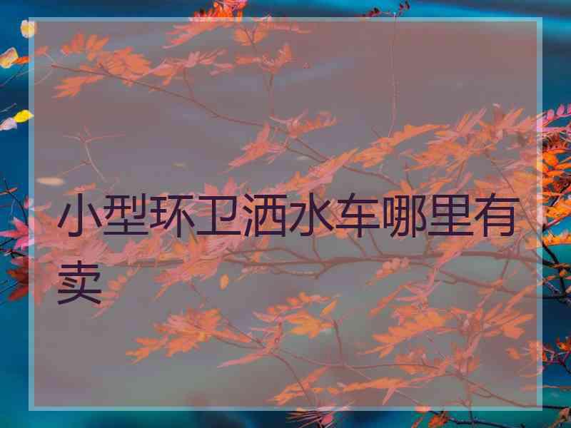 小型环卫洒水车哪里有卖