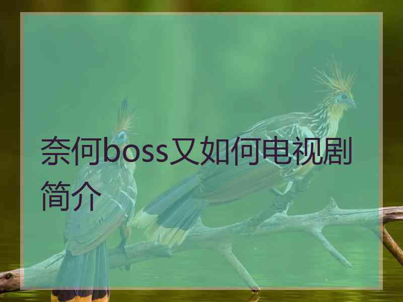 奈何boss又如何电视剧简介