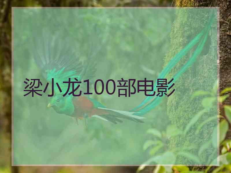 梁小龙100部电影