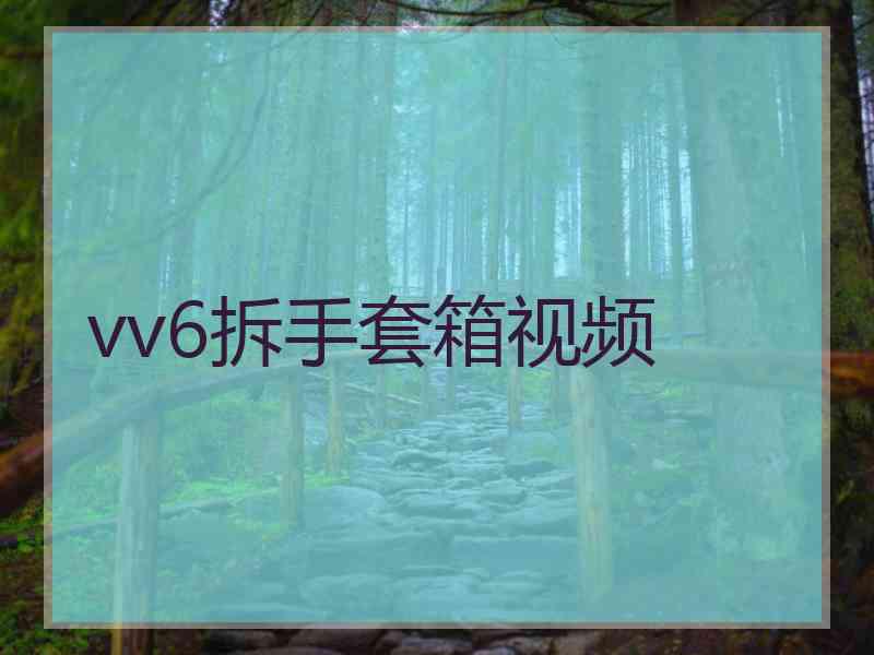 vv6拆手套箱视频