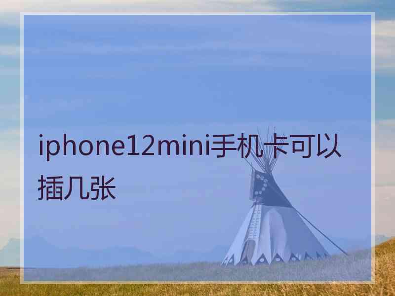 iphone12mini手机卡可以插几张