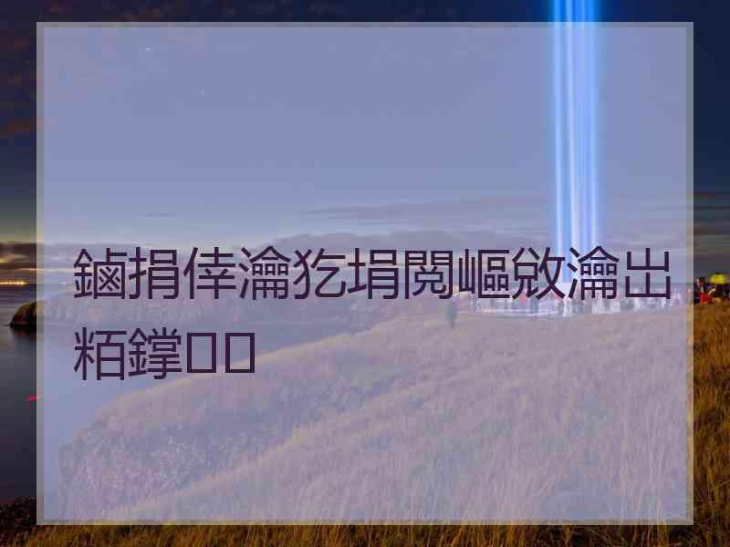 鏀捐倖瀹犵埍閲嶇敓瀹岀粨鐣