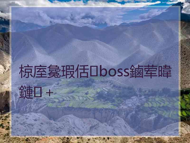 椋庢毚瑕佸boss鏀荤暐鏈＋