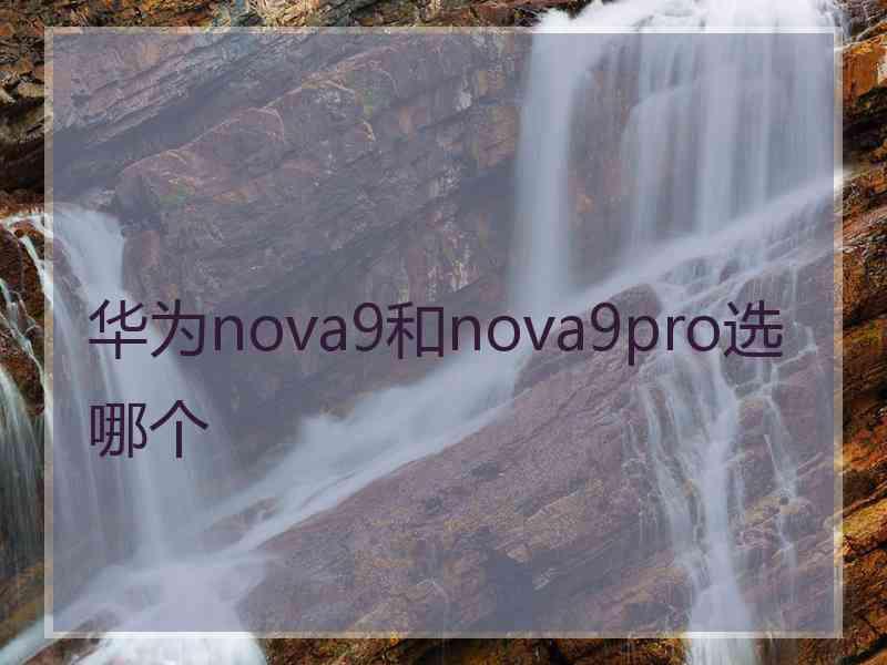 华为nova9和nova9pro选哪个