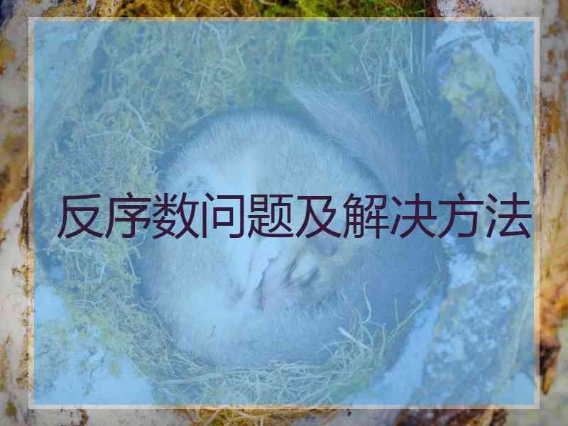 反序数问题及解决方法