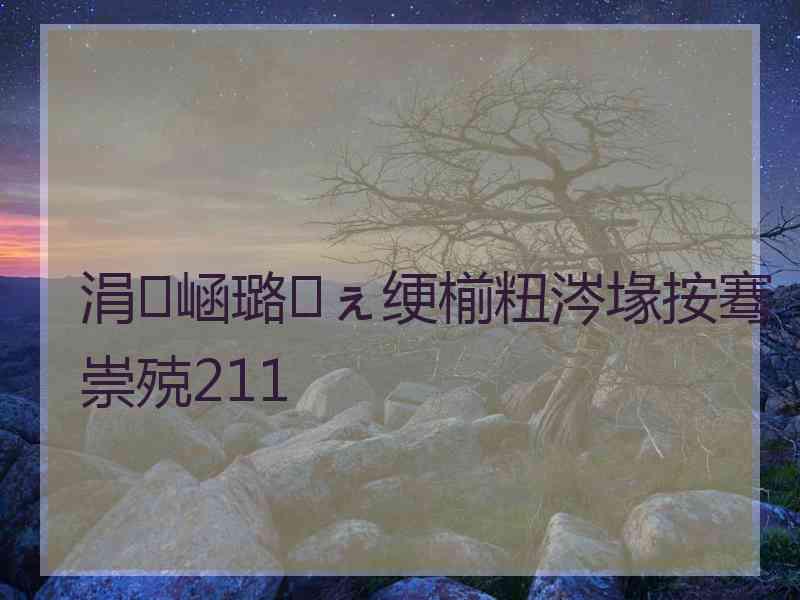 涓崡璐㈠ぇ绠椾粈涔堟按骞崇殑211