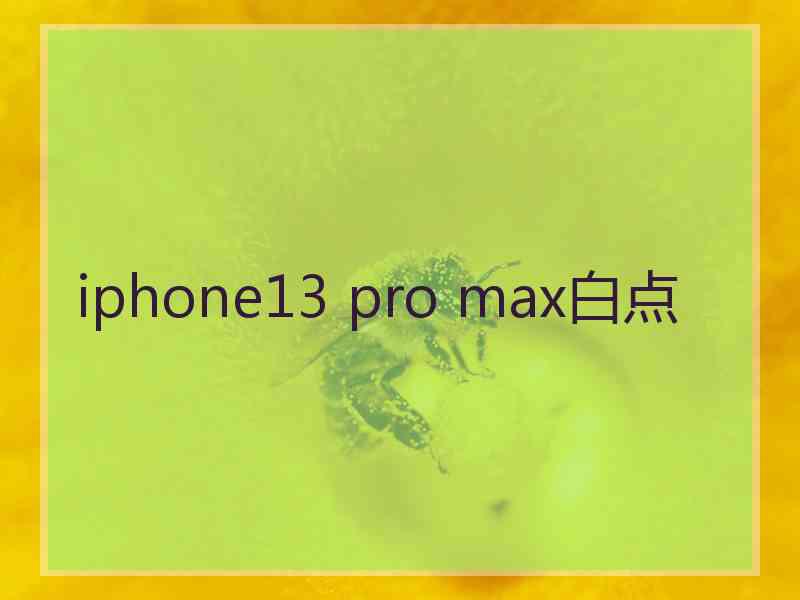 iphone13 pro max白点