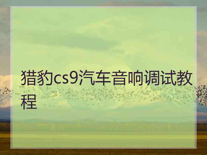 猎豹cs9汽车音响调试教程