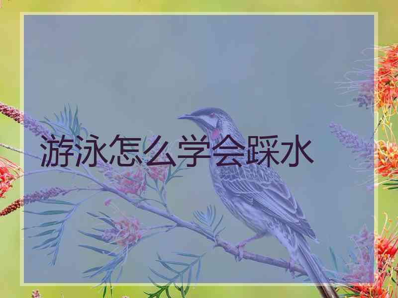 游泳怎么学会踩水