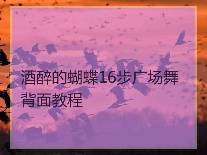 酒醉的蝴蝶16步广场舞背面教程